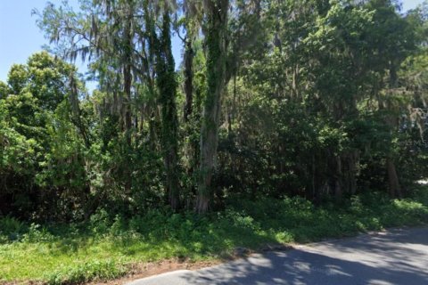 Terreno en New Port Richey, Florida № 2213760