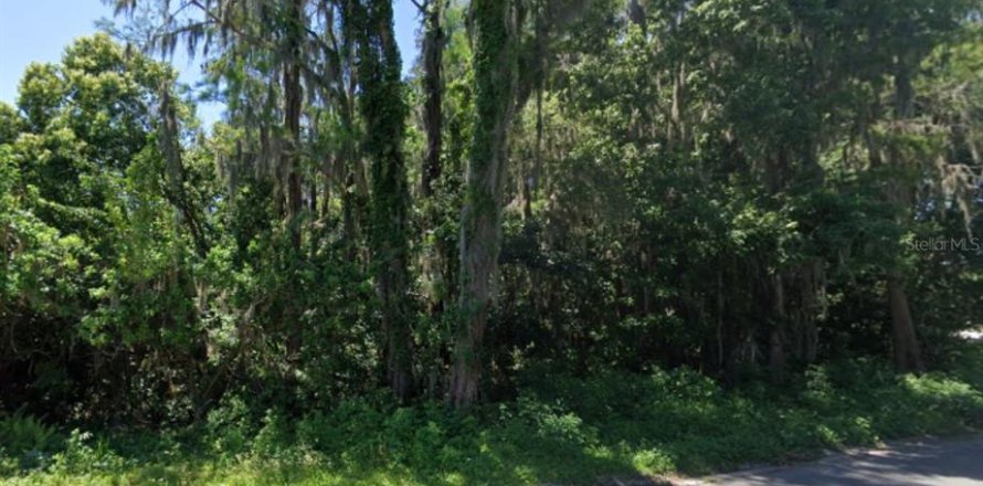 Terrain à New Port Richey, Floride № 2213760