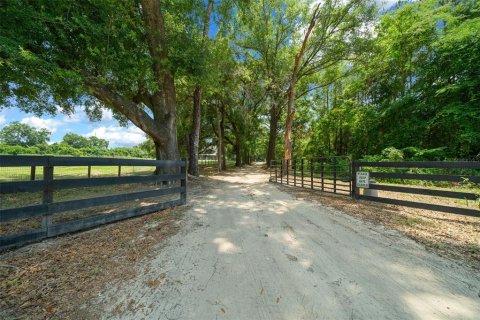 House in Alachua, Florida 3 bedrooms, 220.55 sq.m. № 2213875 - photo 6