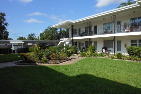 Condo in Saint Petersburg, Florida, 1 bedroom № 1686501
