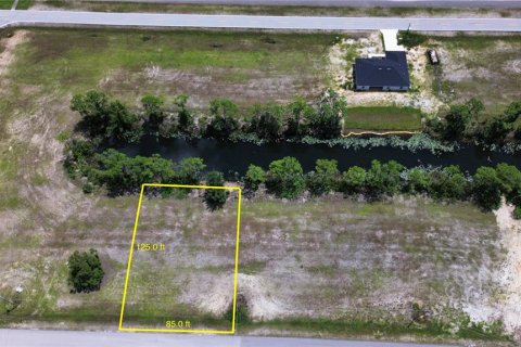 Land in Cape Coral, Florida № 1336914 - photo 4