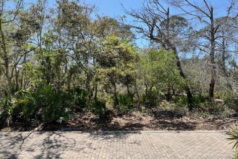 Land in Cedar Key, Florida № 1628739 - photo 1