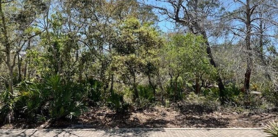 Land in Cedar Key, Florida № 1628739