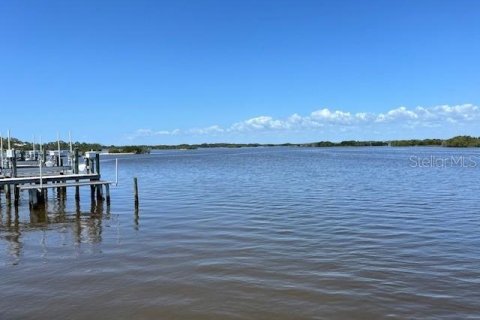 Land in Cedar Key, Florida № 1628739 - photo 4
