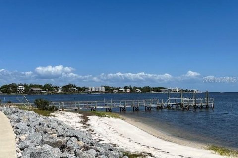 Land in Cedar Key, Florida № 1628739 - photo 8