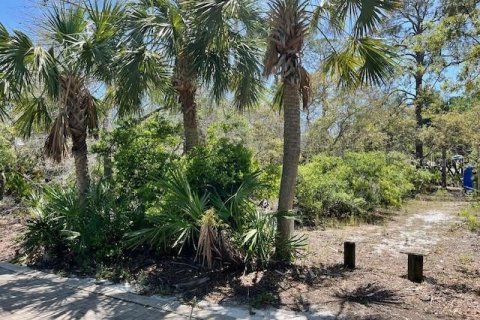 Land in Cedar Key, Florida № 1628739 - photo 9