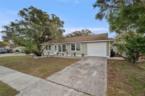 Villa ou maison à Pinellas Park, Floride 2 chambres, 84.54 m2 № 2341578