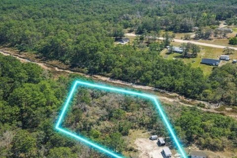 Land in Middleburg, Florida № 2367143