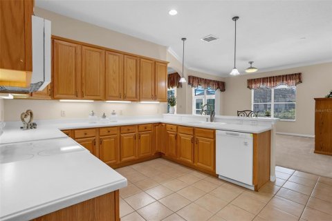 Villa ou maison à vendre à Leesburg, Floride: 3 chambres, 244.89 m2 № 1910810 - photo 11
