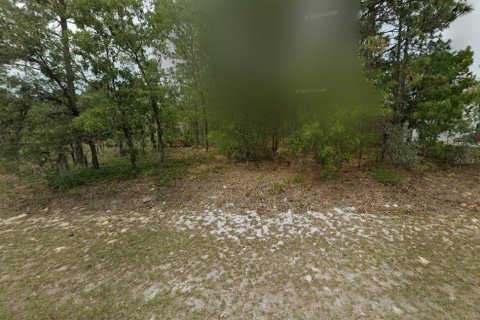Land in Citrus Springs, Florida № 2159298 - photo 5