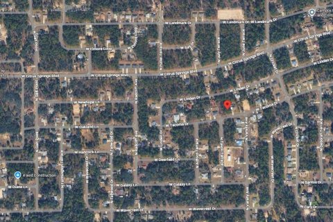 Land in Citrus Springs, Florida № 2159298 - photo 6