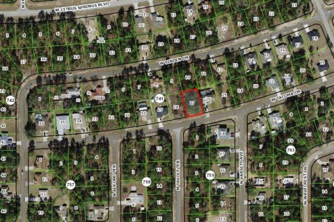 Land in Citrus Springs, Florida № 2159298 - photo 2