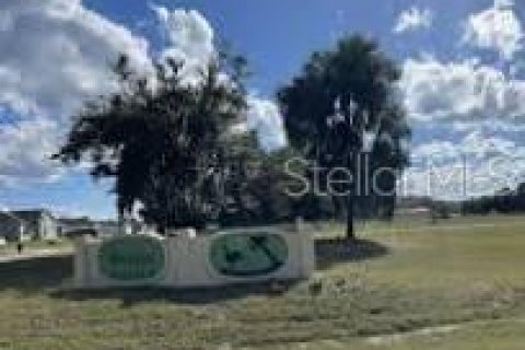 Land in Welaka, Florida № 2228721 - photo 2