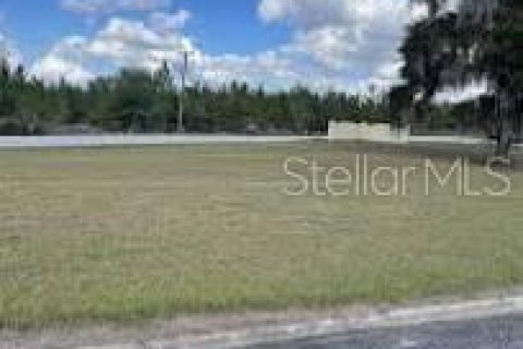 Land in Welaka, Florida № 2228721