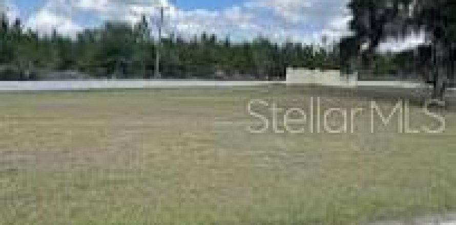 Land in Welaka, Florida № 2228721