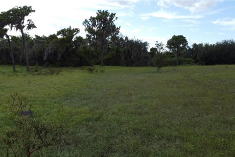 Land in Frostproof, Florida № 1733760 - photo 10