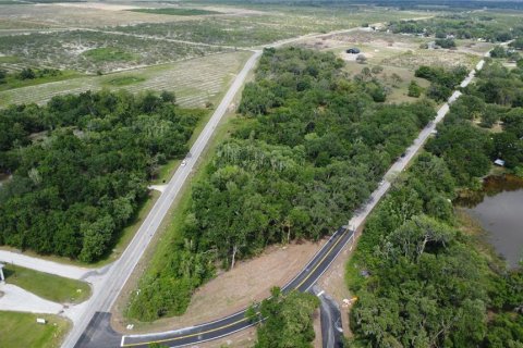 Land in Frostproof, Florida № 1733760 - photo 16