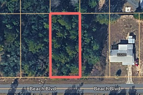 Land in Dunnellon, Florida № 2162916