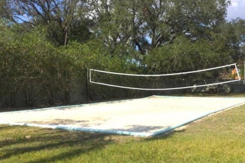 Touwnhouse à louer à Davenport, Floride: 1 chambre, 37.72 m2 № 2415478 - photo 24