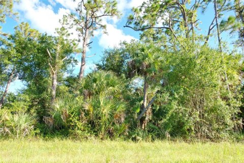 Land in Port Charlotte, Florida № 2165428 - photo 12