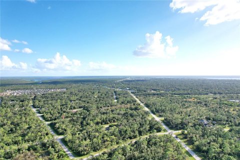 Land in Port Charlotte, Florida № 2165428 - photo 9