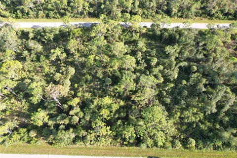 Land in Port Charlotte, Florida № 2165428 - photo 7