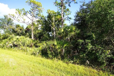 Land in Port Charlotte, Florida № 2165428 - photo 4