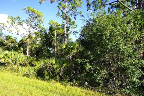 Land in Port Charlotte, Florida № 2165428