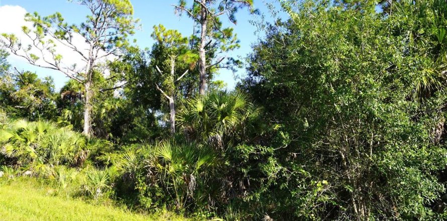 Land in Port Charlotte, Florida № 2165428