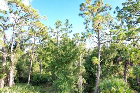 Land in Port Charlotte, Florida № 2165428 - photo 6