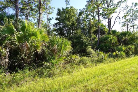 Land in Port Charlotte, Florida № 2165428 - photo 2