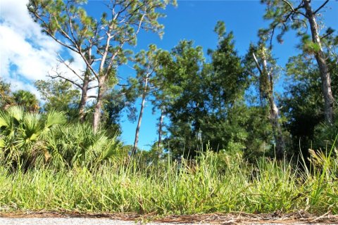 Land in Port Charlotte, Florida № 2165428 - photo 5