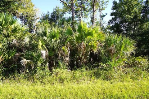 Land in Port Charlotte, Florida № 2165428 - photo 3