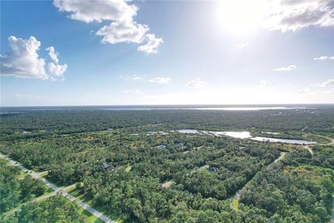 Land in Port Charlotte, Florida № 2165428 - photo 10