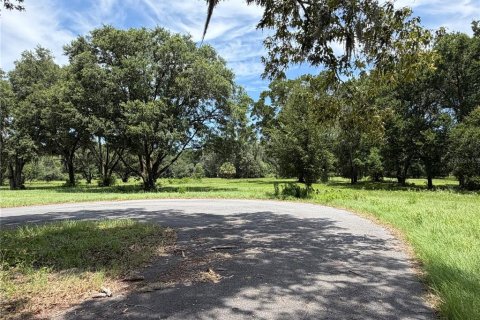 Terrain à vendre à Reddick, Floride № 2239037 - photo 6