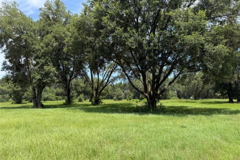 Terreno en Reddick, Florida № 2239037