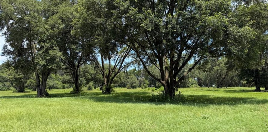 Terrain à Reddick, Floride № 2239037
