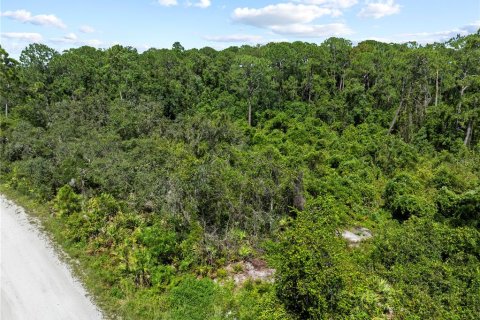 Terreno en venta en Frostproof, Florida № 2164641 - foto 8