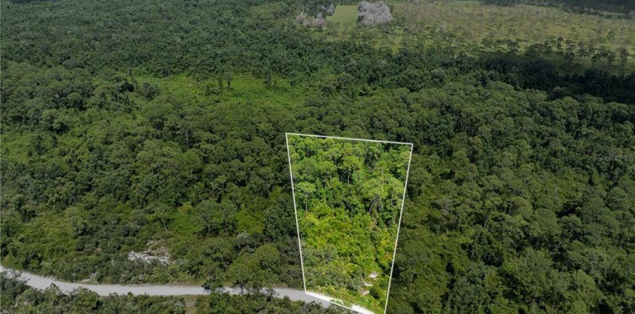 Terreno en Frostproof, Florida № 2164641