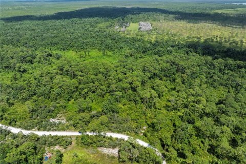 Terreno en venta en Frostproof, Florida № 2164641 - foto 2