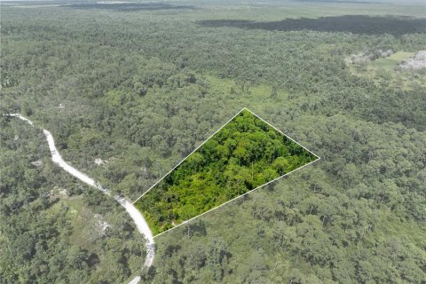 Terreno en venta en Frostproof, Florida № 2164641 - foto 3