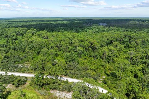 Terreno en venta en Frostproof, Florida № 2164641 - foto 9