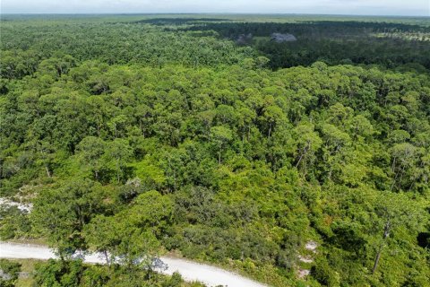 Terreno en venta en Frostproof, Florida № 2164641 - foto 7