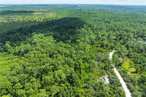 Terreno en venta en Frostproof, Florida № 2164641 - foto 6
