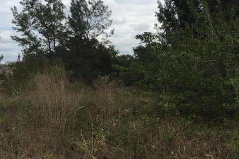 Commercial property in Loxahatchee Groves, Florida № 2246070 - photo 9