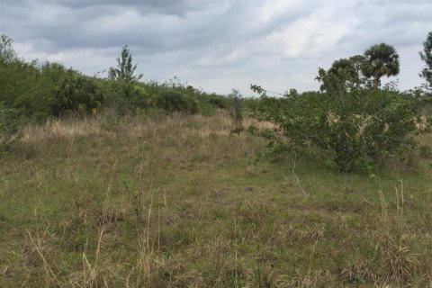 Commercial property in Loxahatchee Groves, Florida № 2246070 - photo 6