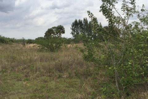Commercial property in Loxahatchee Groves, Florida № 2246070 - photo 7