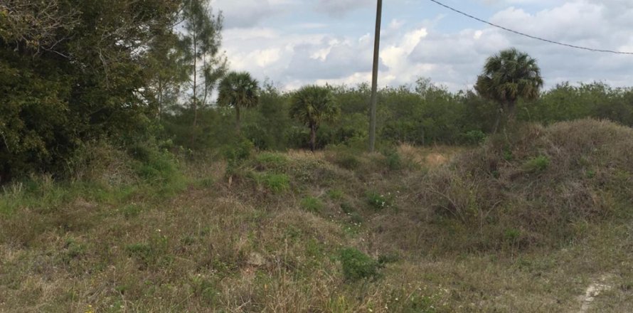 Commercial property in Loxahatchee Groves, Florida № 2246070
