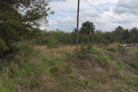 Commercial property in Loxahatchee Groves, Florida № 2246070 - photo 3