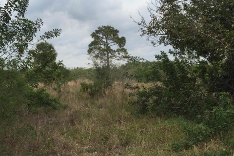 Commercial property in Loxahatchee Groves, Florida № 2246070 - photo 2